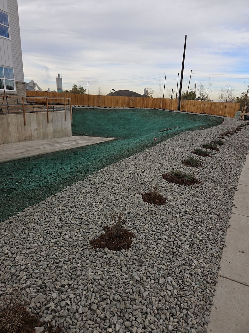 fresh hydro seed colorado landscape cocal