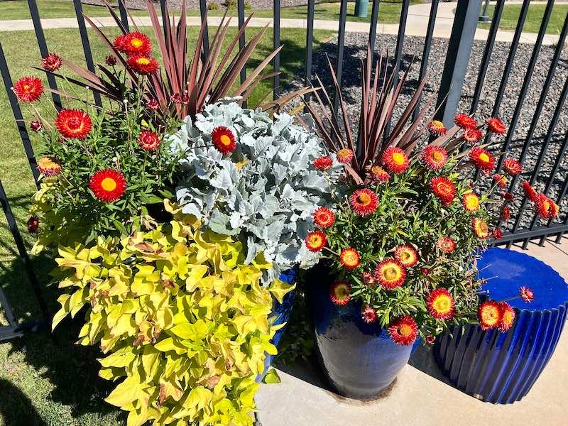 avalon southlands flower pots