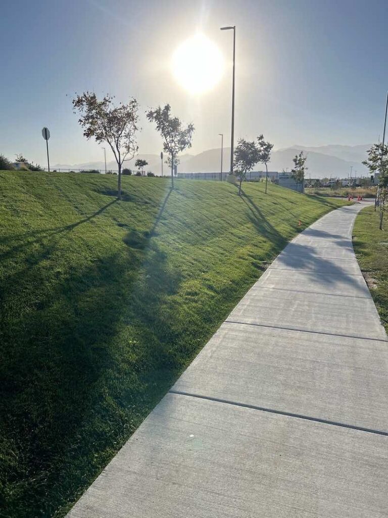amazon landscape maintenance cocal landscape
