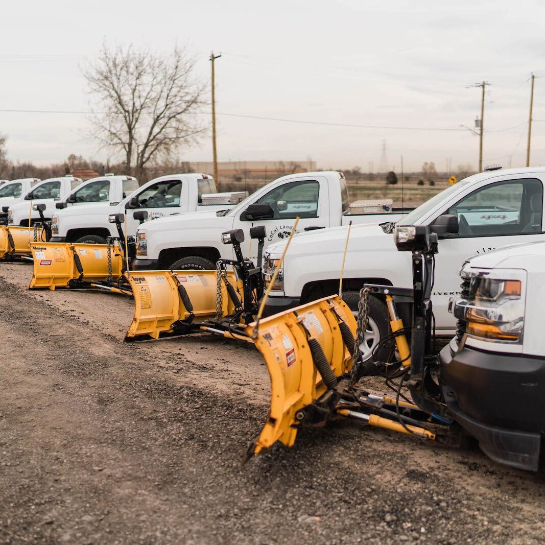 Westminster, CO Snow Removal Company