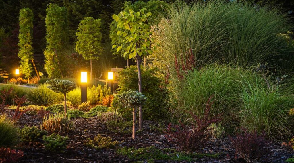 landscape lighting
