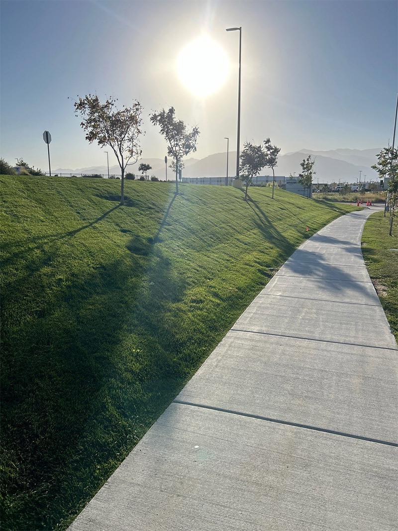 colorado landscape maintenance